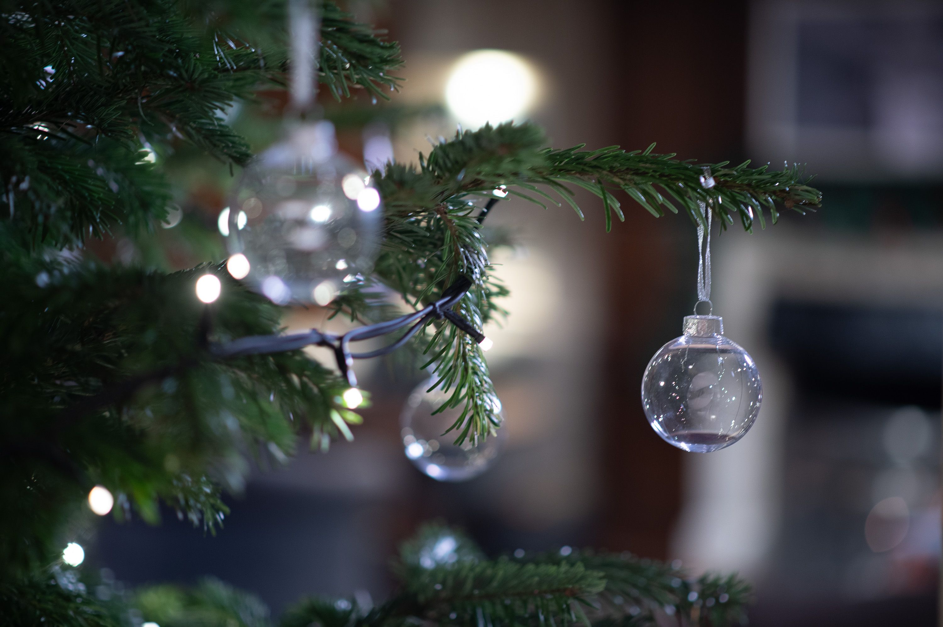 Christmas baubles hanging on a tree